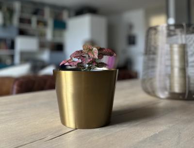 Apartment Beaubourg St-Merri