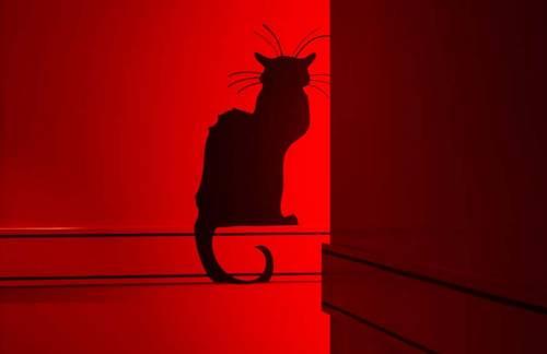 Le Chat Noir Design